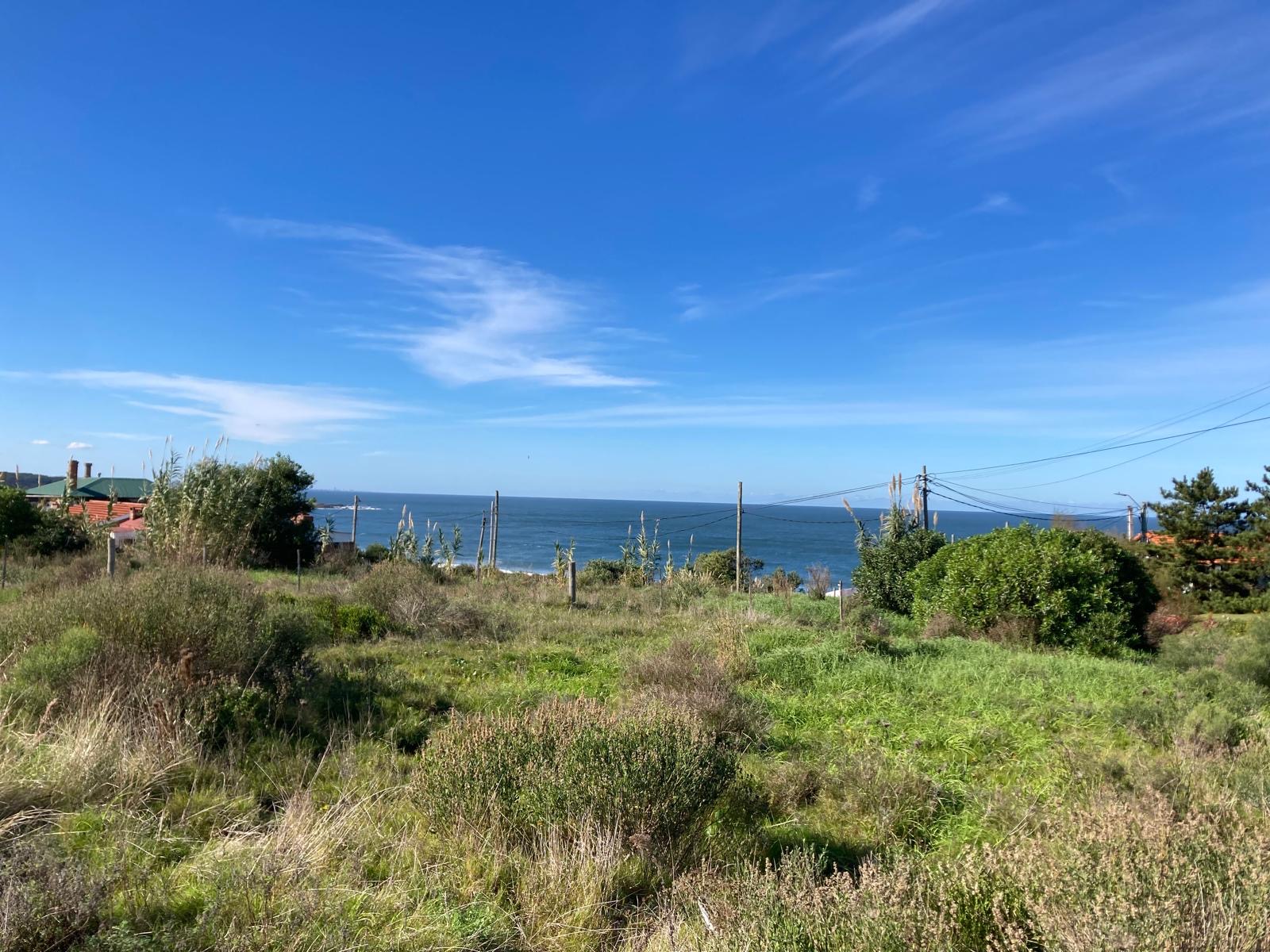  Espectacular terreno Punta Colorada!