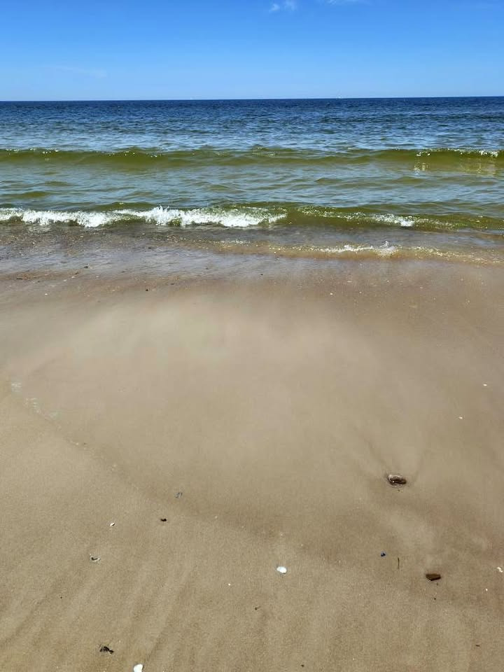  Alquiler cabaña en Piriapolis