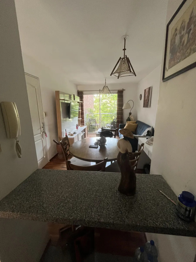  Alquiler Apartamento 1 Dormitorio, Punta Carretas, Balcón, T