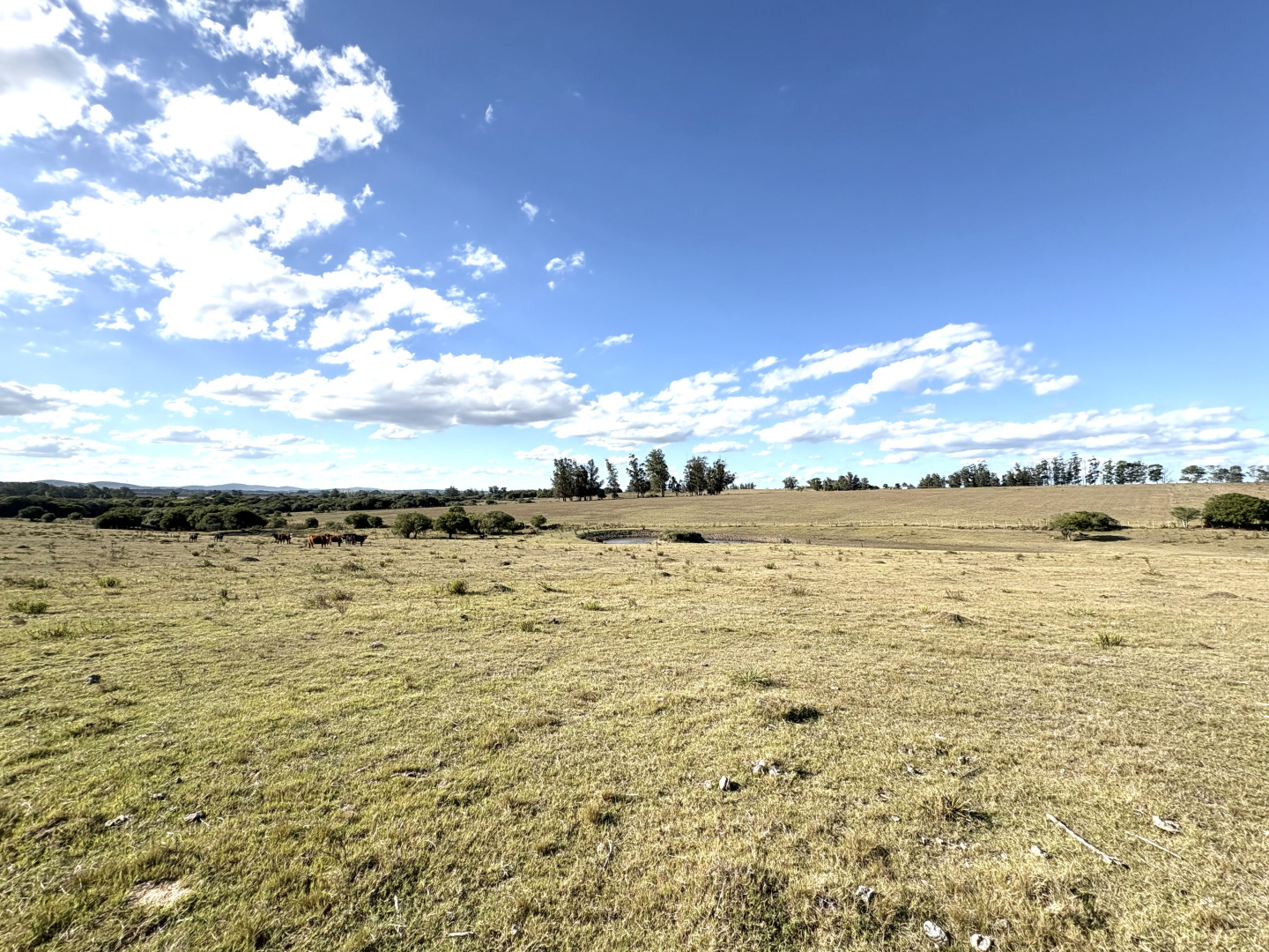  Campo en Venta, Cañada Bellaca  